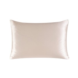 townssilk Both Side 100% 19mm Silk Pillowcase Queen Size Pillow Case Cover with Hidden Zipper Taupe