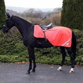 Masta Hi Viz Mesh Exercise Sheet - High-Visibility, Breathable, Summer Horse Safety Gear with Reflective Strips for Roadwork XFULL Orange