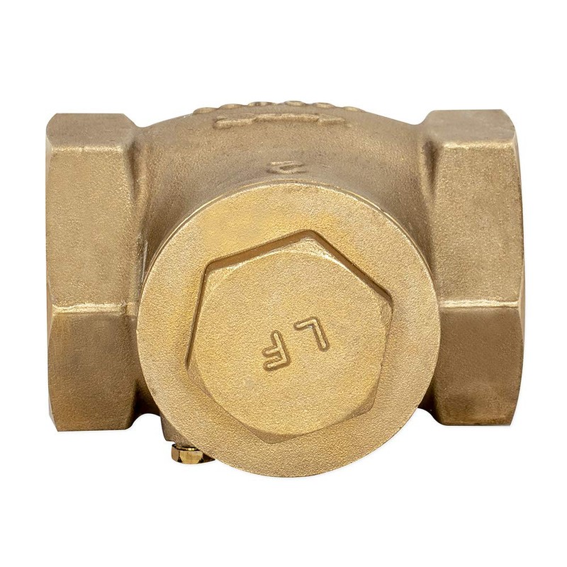 Eastman Brass Swing Check Valve, 2 Inch IPS, Brass Plumbing