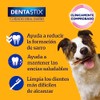 Pedigree - DENTASTIX, Snack para Perros Adultos, 7 Piezas, Cuidado