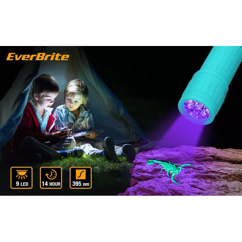EverBrite 6PC 9-LED Black Light Flashlight Set UV Mini Flashlight
