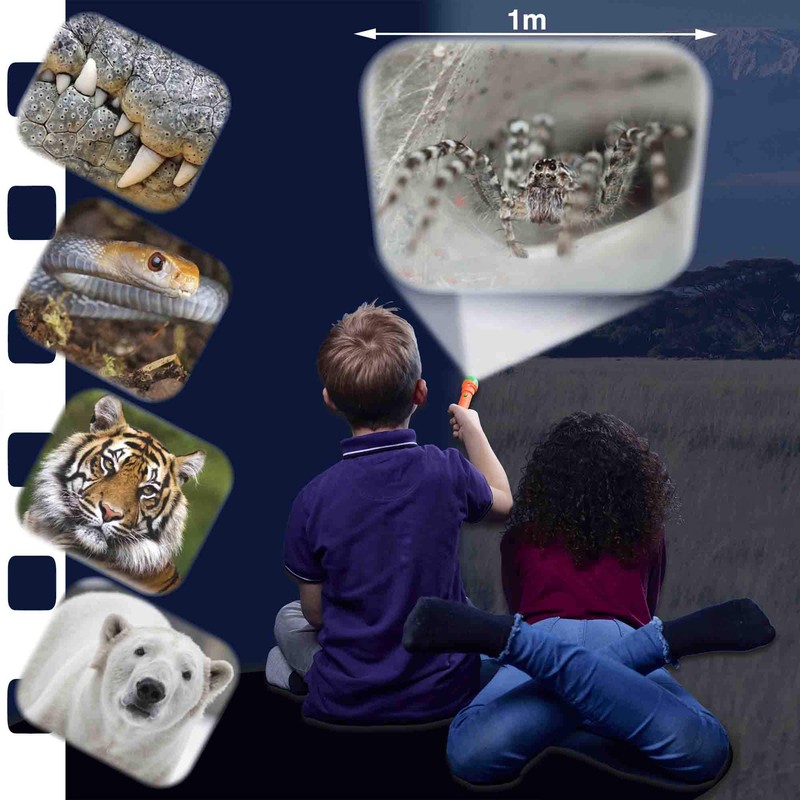 Brainstorm Toys Most Deadly Torch and Projector