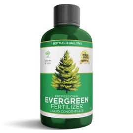 Leaves and Soul Evergreen Tree Fertilizer 8 oz, Professional Liquid Evergreen Fertilizer 6-4-6 Concentrate for Evergreen Trees, Shrubs, Hedges and Outdoor Garden Landscape Use