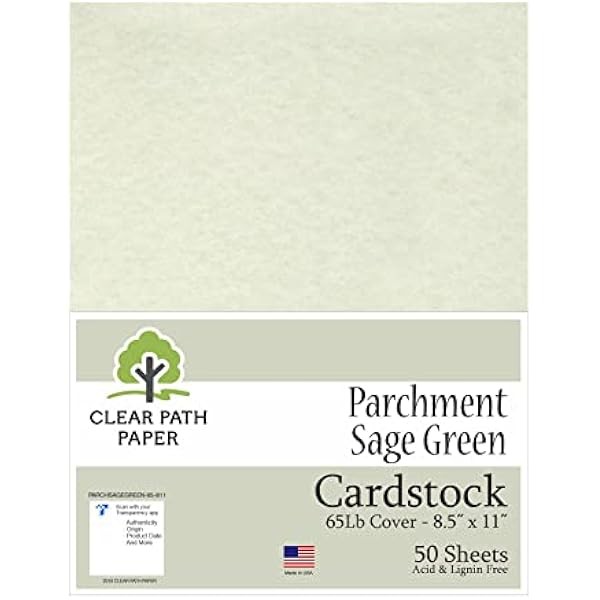 Parchment Sage Green Cardstock - 8.5 x 11 inch -