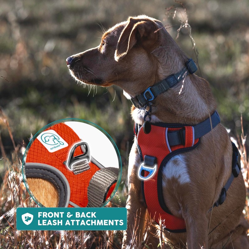 Embark dog harness, adjustable size, without choke, large, Orange