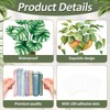 Spring Potted Plant Bulletin Board Set Boho Motivational Reading Classroom