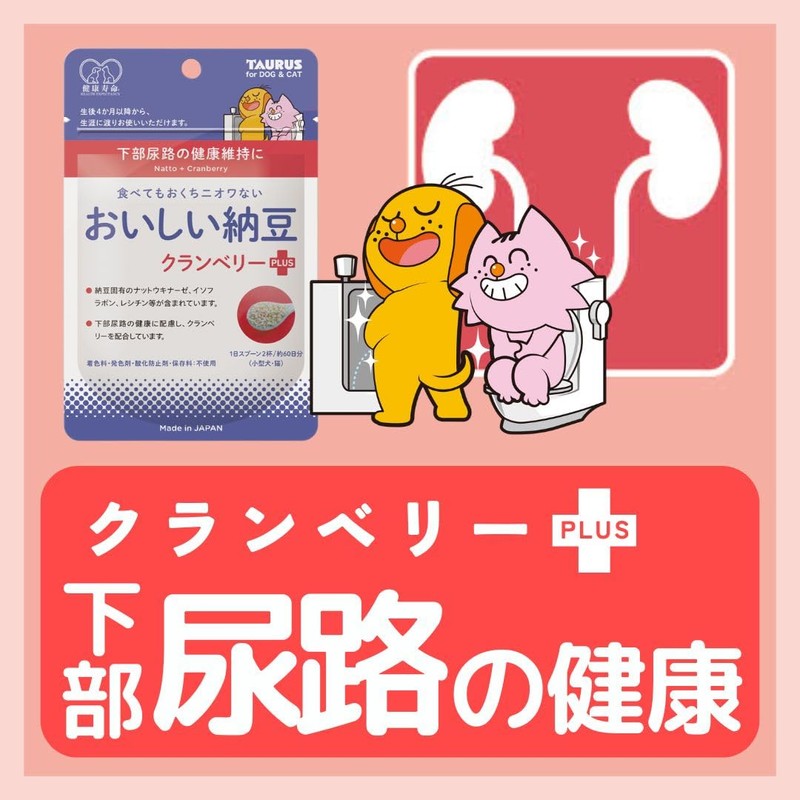 トーラス おいしい納豆クランベリー ３０ｇ(×2)