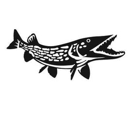 Express Yourself Products Northern Pike Detailed (Black - Reverse Image - Large) Decal Sticker - Freshwater Fish Collection
