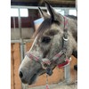 Equipride Braided Headcollar Lead Rope Set Size Full-Shetland Pink/Grey (Full)