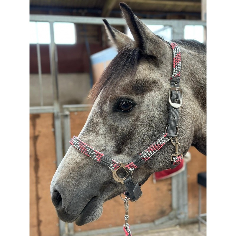 Equipride Braided Headcollar Lead Rope Set Size Full-Shetland Pink/Grey (Full)