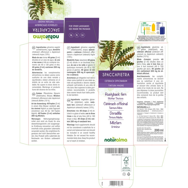 Spleen Fern (Ceterach officinarum or Asplenium ceterach) Leaves Alcohol-Free Mother