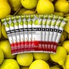 Thats It Apple and Pear Fruit Bar, 1.2 Ounce (Pack