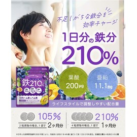 【高吸収×持続型のW 鉄分 】 1日分の鉄分210% サプリメント 60日分 葉酸 亜鉛 マルチビタミン 葉酸サプリ 亜鉛サプリ 2袋 ビタミンサプリ 鉄 てつ 妊活 Wellio ウェリオ