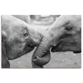 ARTLAND Wanddeko Leinwand Bilder Wandbild 30x20 cm Tiere Elefant U5SZ