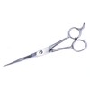 Hair Cutting Scissors - Stainless Steel (7")