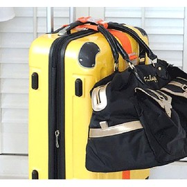 Luggage Backpack Straps, 8 Pcs Random Color 1 Inch x 12 Inch Adjustable Luggage Backpack Buckle for Attachment Travel Accessories (8)