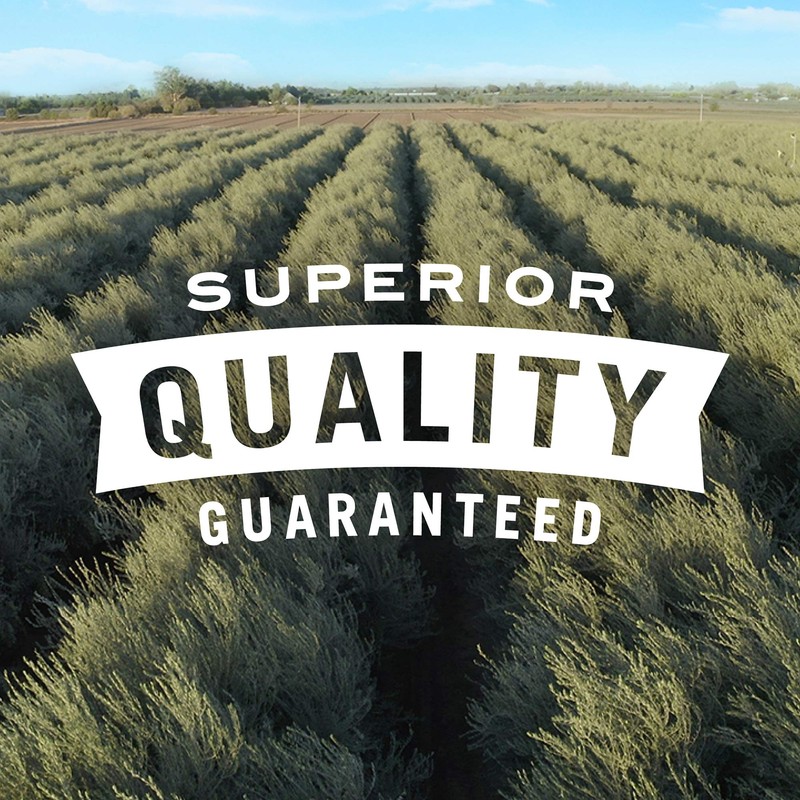 Pearls Specialties, Sliced Kalamata Greek Olives, Pack of 6, 6.7