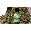 ESENCIA DE TE BLANCO, AROMATICO, ESENCIA TE WHITE 30 ML.