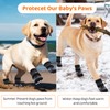 ASENKU Anti-Slip Dog Socks to Prevent Licking Paws, Dog Boots