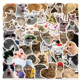 50Pcs Cute Cat Stickers, Funny Cat Meme Vinyl Stickers Decals for Laptop Water Bottle Phone Luggage, Sticker Gift for Kids Teens Boys Girls