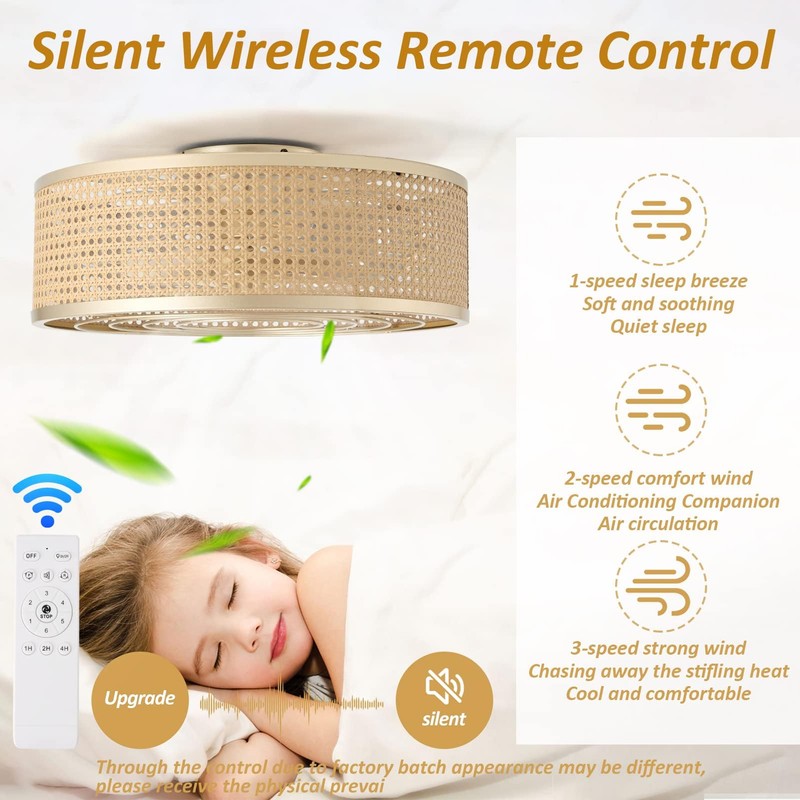 ainqiant Boho Caged Ceiling Fan with Light, 20'' Rattan Flush