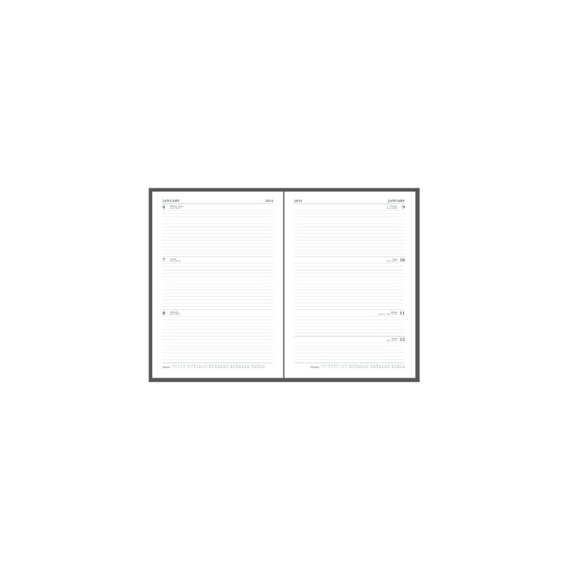 Collins Standard Desk 2025 Diary for Professionals - A4 Week