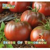 Seeds of Tomorrow 75 Black From Tula Tomato Seeds- With