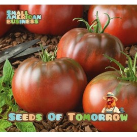 Seeds of Tomorrow 75 Black From Tula Tomato Seeds- With Bonus! |Organic Non-GMO Heirloom