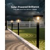 Sunco 6 Pack Round Solar Pathway Lights Outdoor, Super Bright