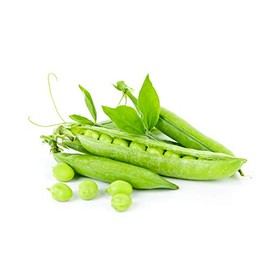 Thomas Laxton Pea Seeds - 30 Grams - Non-GMO