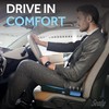 Sealy Memory Foam Seat Cushion for Car and Office Chairs