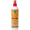 Control Wig Spray 3 In 1 Formula 12Oz