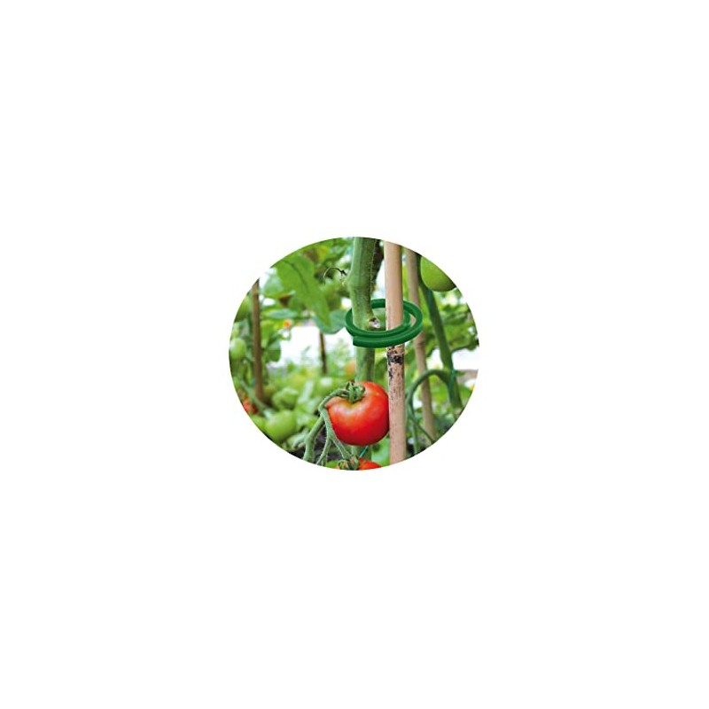 Bradas TYK31 4002 Plant Mounting Clips Diameter 3 cm Pack