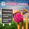 ONEGlobal Iconic Leather Cricket Ball - 100% Hand Stitched 5.5oz