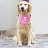 HDGDT Big Sister Dog Bandana Collar, Pregnancy Announcement Dog Bandana,