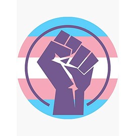 Resistance Fist Trans Flag - Sticker Graphic - Political Funny Bumper Sticker for Cars Windows Trucks Y