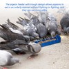 Tioncy 4 Pcs Pigeon Feeder Bird Dispenser Slot Container Poultry