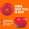 Terro Fruit Fly Traps for Indoors (4 Pack) + 180
