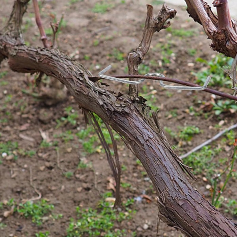 WEBEEDY Pack of 20 Branch Pullers for Fruit Trees M-Shaped