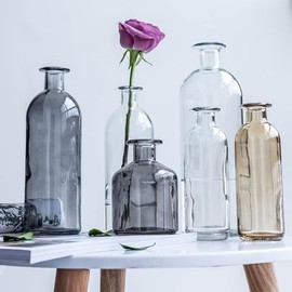 SHUILING Glass Bud Vase, 1pc Small Vases for Flowers, Decorative Glass Bottles, Mini Flower Vases Centerpiece for Wedding, Vintage Vase for Rustic Home Decor, Living Room, Office Desk (250ml-clear)