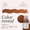 Tina Davies Professional Toffee Pigment - Permanent Eyebrow Makeup -