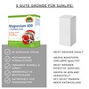 SUNLIFE Magnesium 400 mg + B-Complex Sticks I 1 x