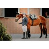 Sunride Bandages for Horses, Stabilise Tendons and Ligaments - Breathable,