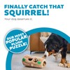 Outward Hound Hide-A-Squirrel Dog Toy – Interactive 2‑in‑1 Plush Puzzle
