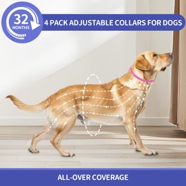 4 Pack Adjustable Dog Collars, Durable Waterproof Collar for Small, Medium & Large Dogs, Soft & Lightweight Dog Collar for Everyday Wear, One Size Fits All, Pink (25.6 inch)