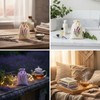 Sunnymove 30 Pcs Embroidered Lavender Sachet Bags 5.7 x 4.1