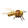 Fridolin 3D Paper Model Bee