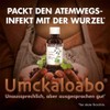 Umckaloabo Flüssigkeit, 20 ml Solution