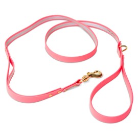 Dog Leashes for Small Dogs or Dog Leashes for Medium Dogs- Double handle leash , Reflective Dog Leash has Poop Bag Holder for Leash. Make Biothane Dog Collar and Leash Set with our Matching Dog Collar