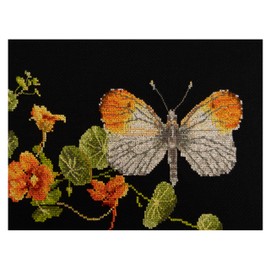 Thea Gouverneur - Juego de punto de cruz (11.5 x 7 pulgadas, mariposa-nasturtium on Aida (18 unidades)